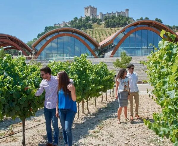 visita-Tours-con conductor-Ribera